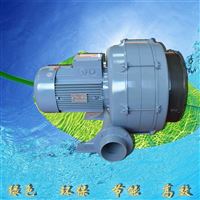 5.5KWHTB125-704 中国台湾透浦式鼓风机